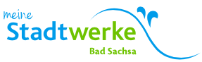 Teilnehmer Webinar Stromversorgung von Stadtwerke Bad Sachsa